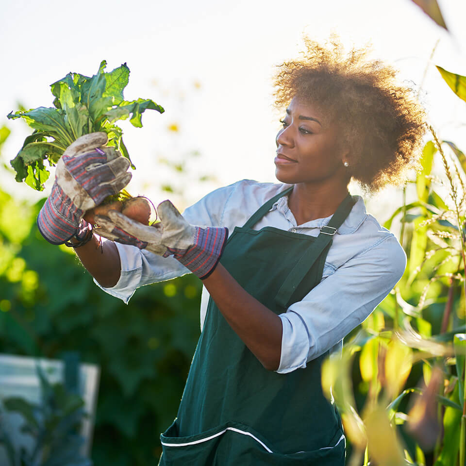 a woman admires vegetables she pulled from the earth