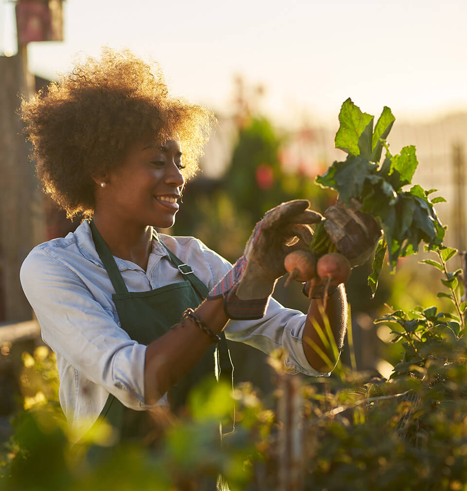 A Black woman gardens