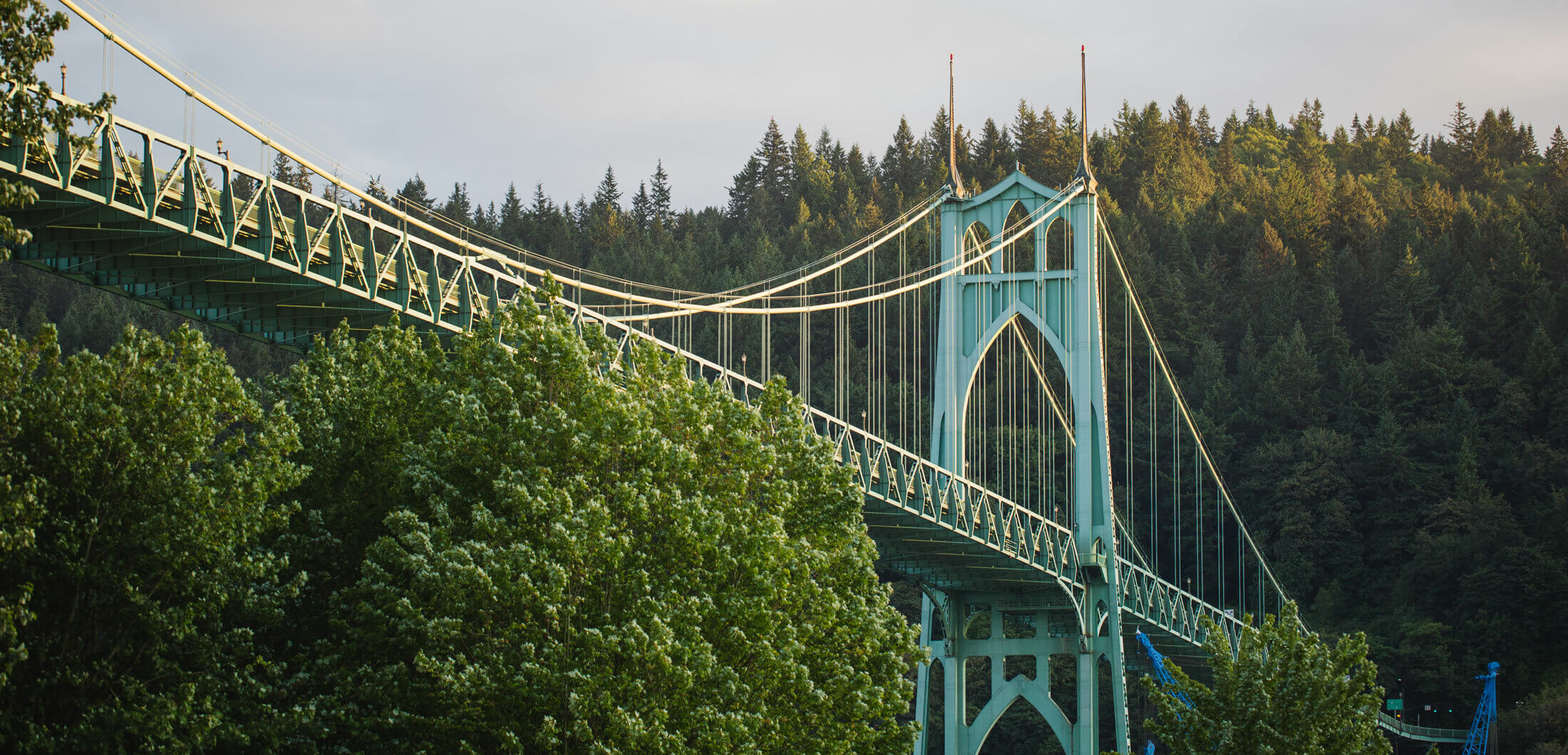 Heritage Grove Federal Credit Union - Loans, Mortgages and Financial ...