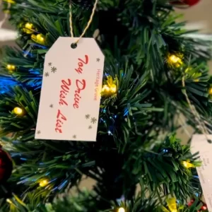 image for <?php the_title(); ?>