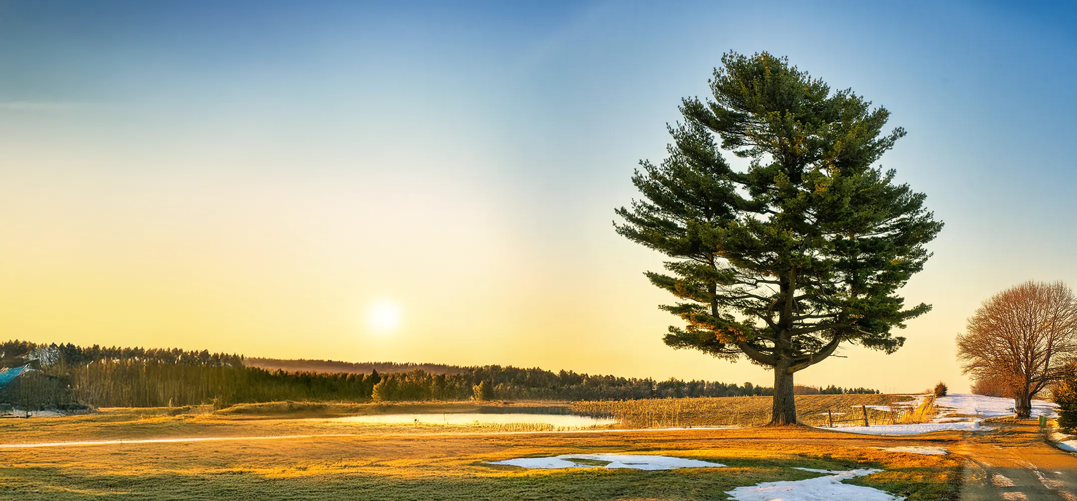 Grow Your Savings This Year (desktop only image)